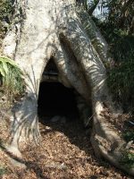 真岡市鶏塚古墳