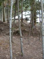 益子町丸岳古墳群