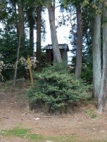 壬生町前田古墳