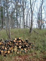 壬生町丸山古墳群1号墳