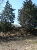 市貝町三ツ峰古墳群2号墳