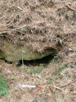 宇都宮市宮下古墳陪塚5号墳