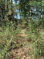 宇都宮市茂原愛宕塚古墳