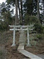 鹿沼市茂呂向山古墳