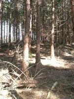 益子町向北原古墳群2_4_7号墳