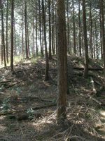 益子町向北原古墳群3号墳