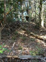 益子町生田目古墳群