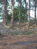 益子町長堤古墳群15_19_20号墳