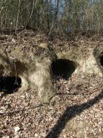 市貝町長峰横穴墓群