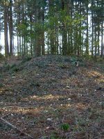 真岡市中原古墳群