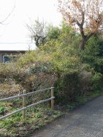 壬生町ナナシ塚古墳