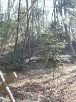 真岡市根本山古墳群9_11号墳