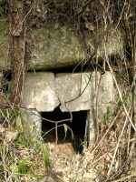 益子町古塚古墳（西坪古墳群1号墳）