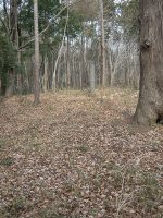 益子町入定塚古墳