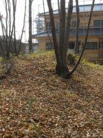 下野市小田坂古墳群