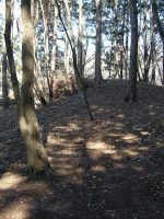 真岡市大根山古墳群1号墳