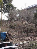 真岡市大和田古墳群