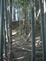 上三川町大山瓢箪塚古墳（大山9号墳）