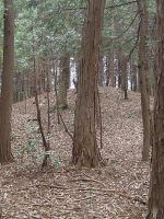 宇都宮市大ジノ古墳群