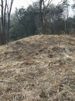 益子町小宅古墳群6_7_10_18号墳