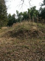 益子町小宅古墳群9号墳