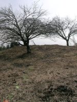 益子町小宅古墳群14号墳