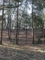 上三川町長塚古墳（坂上7号墳）