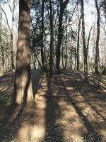 上三川町坂上古墳群8_9_13_14号墳