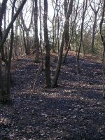 上三川町坂上古墳群19_23号墳