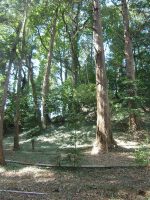 壬生町亀塚古墳（坂下古墳群1号墳）