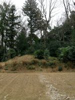 下野市三王山古墳群16号墳他