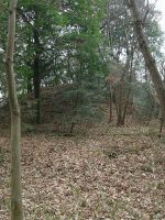 下野市三王山古墳（三王山39号墳）