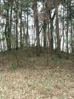 下野市三王山古墳群40号墳