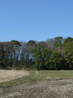 宇都宮市笹塚古墳