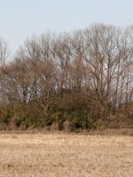 市貝町関根山古墳群3号墳