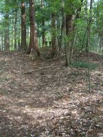 宇都宮市本郷山古墳