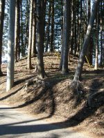 市貝町シハンバ古墳