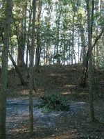 市貝町椎谷古墳群20_21_22号墳