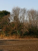 真岡市庚申塚古墳