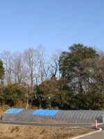 真岡市天神山古墳