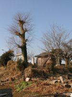 真岡市鹿神社古墳