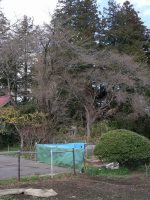 宇都宮市下砥上愛宕塚古墳