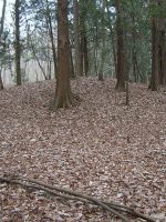 鹿沼市下台原古墳群1_2_3_4号墳