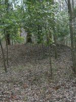 鹿沼市下台原古墳群5_6_7_8号墳