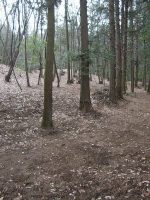 鹿沼市下台原12号墳（下台原古墳）