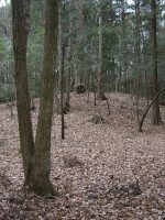 宇都宮市下台原古墳群（宇都宮市側）