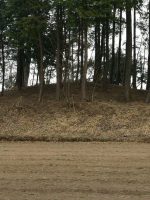 下野市下川原古墳群1_2_3_4号墳