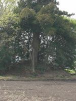 宇都宮市下栗念仏塚古墳