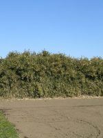 壬生町新郭古墳群2_3号墳