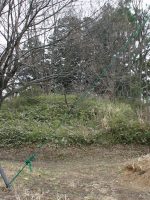 宇都宮市祥雲寺境内古墳